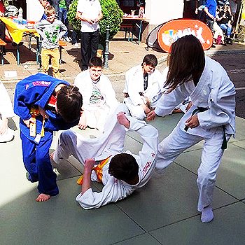 judo